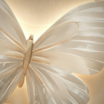 Papillon - Close-up